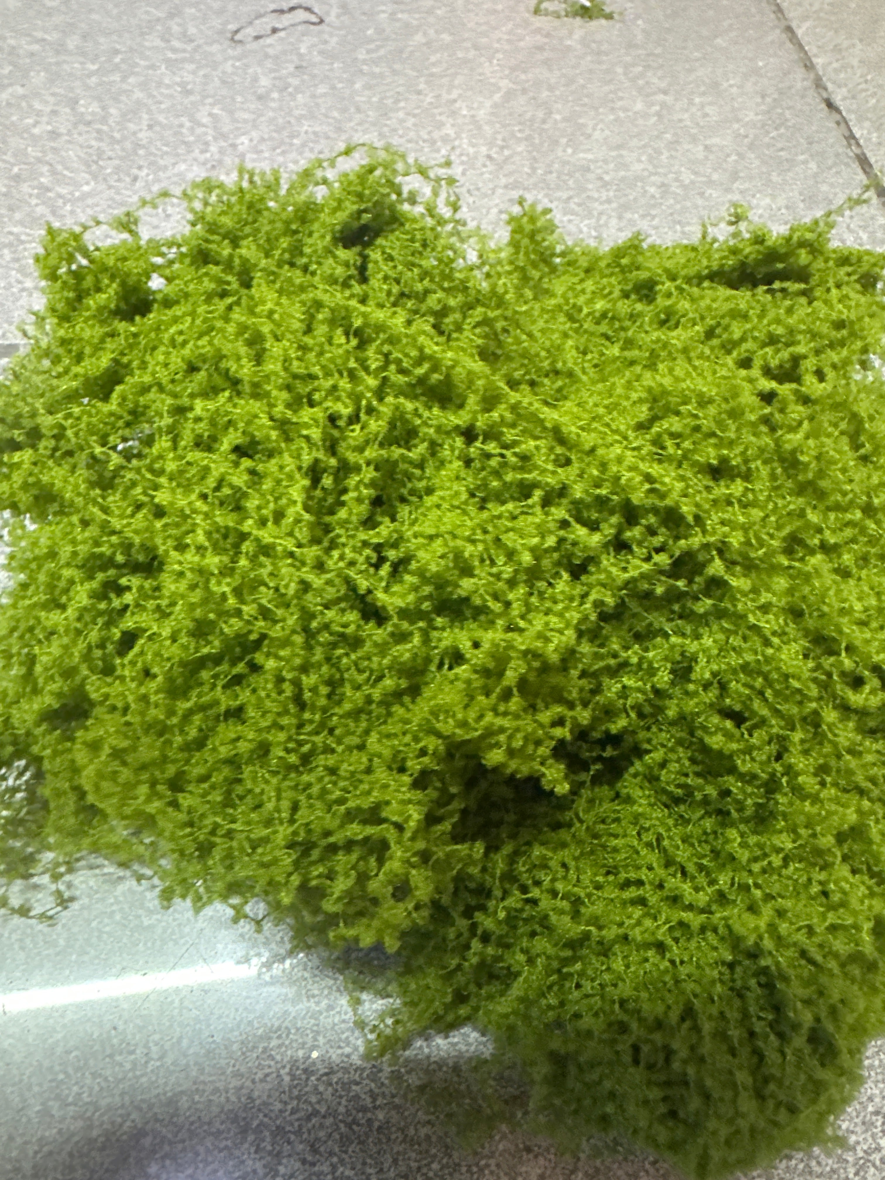 Yeşil yosun yapay 20gr